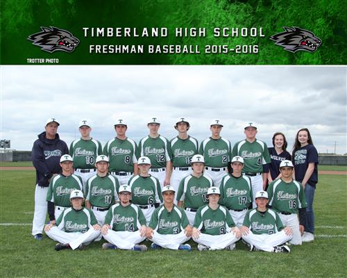Baseball 2016
